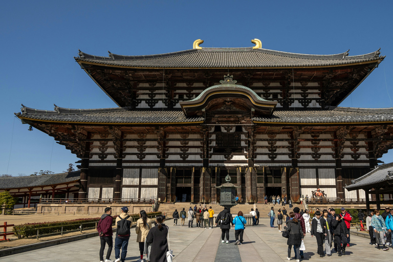 Nara: Deer Park, Todaiji Temple, & Great Buddha Walking Tour Private Tour