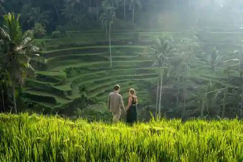 Ubud: Wycieczka fotograficzna: taras ryżowy, wodospad i huśtawka