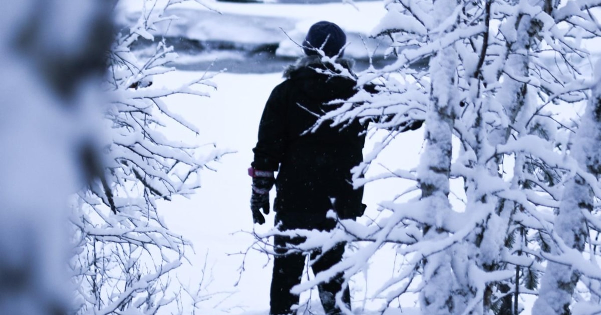 Bardufoss Bardufoss: Snowshoe hike to Norway's National Waterfalls | GetYourGuide