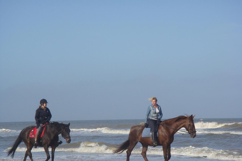 Agadir: Day Trip to Essaouira with Medina & Beach Time