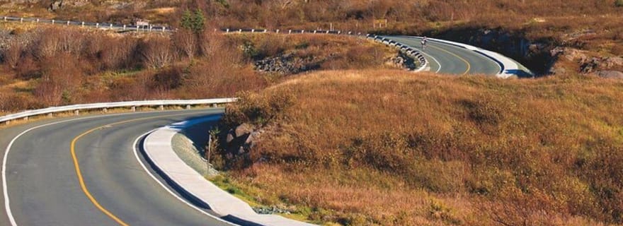 Saint-Jean de Terre-Neuve : visite citadine et du cap Spear avec un guide de la région