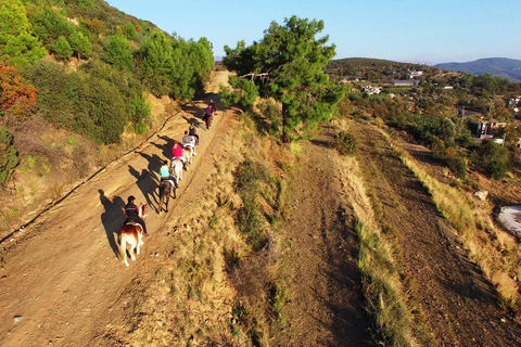 Depuis Antalya, Belek, Kundu : Randonnée à cheval avec transfert à l'hôtel