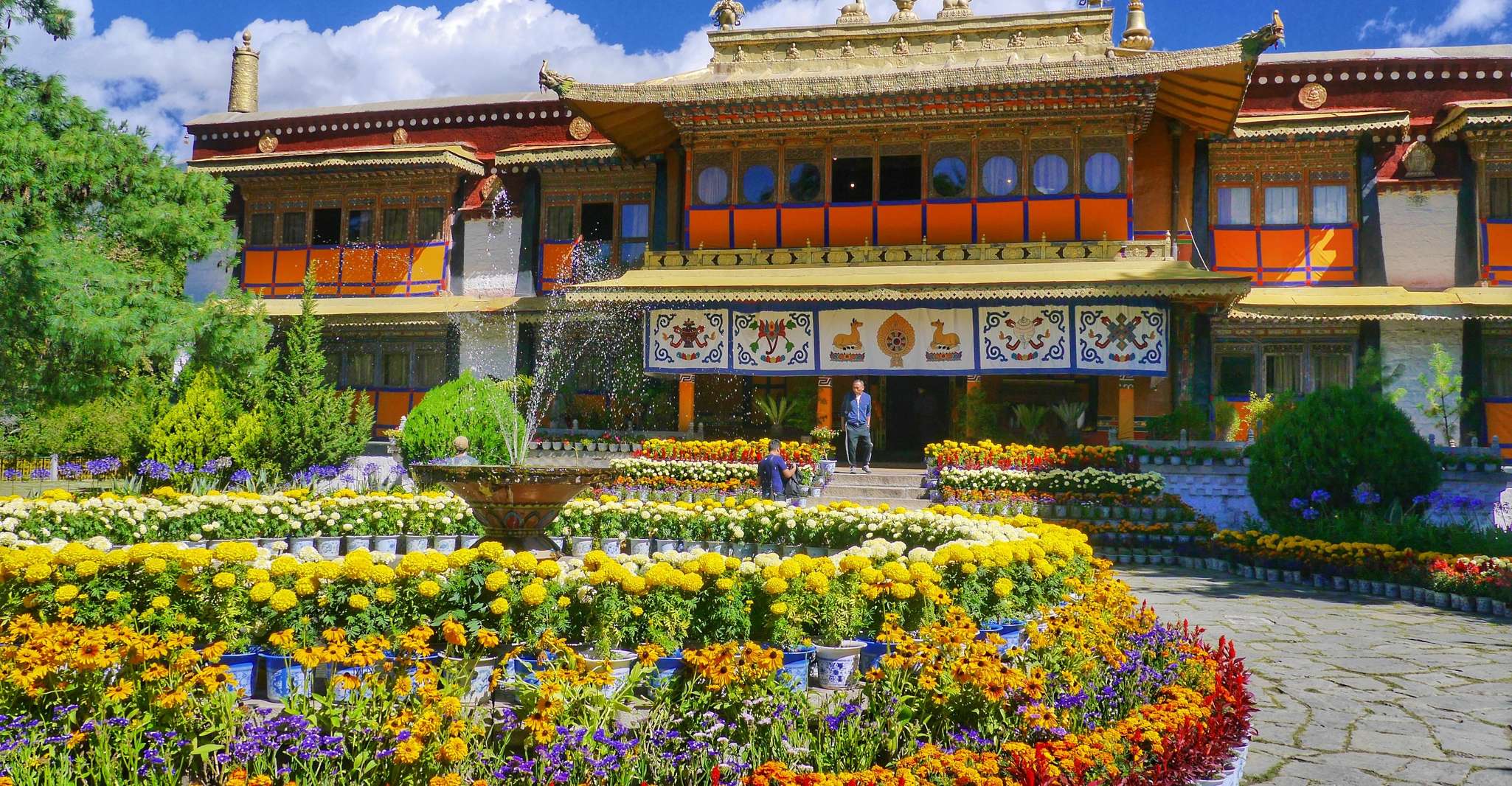 Dharamshala Full Day Tour - Housity