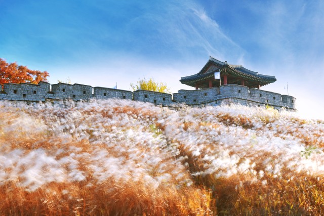 Visit From Seoul Suwon Hwaseong Fortress and Folk Village Tour in Seoul