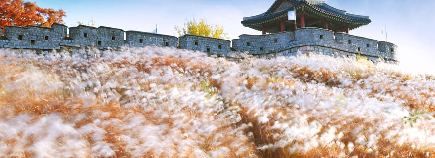Depuis Séoul : visite de la forteresse de Suwon Hwaseong, classée au patrimoine mondial de l'UNESCO