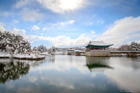 Busan: Gyeongju UNESCO Highlights 6 Hours Express Tour Shared Tour, Meet at Haeundae Station