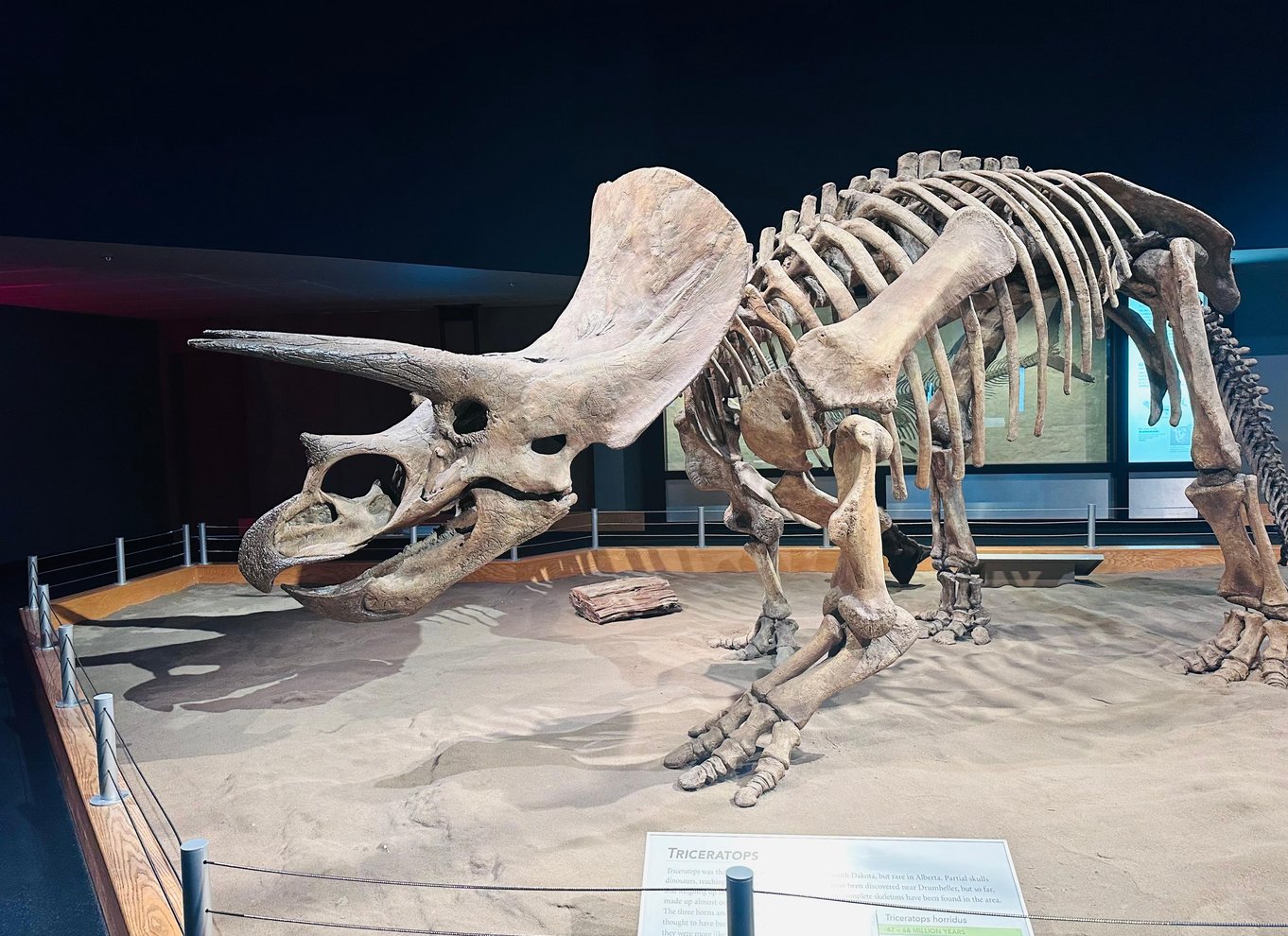Badlands-tur: Drumheller med museum, hoodoos og dinosaurer