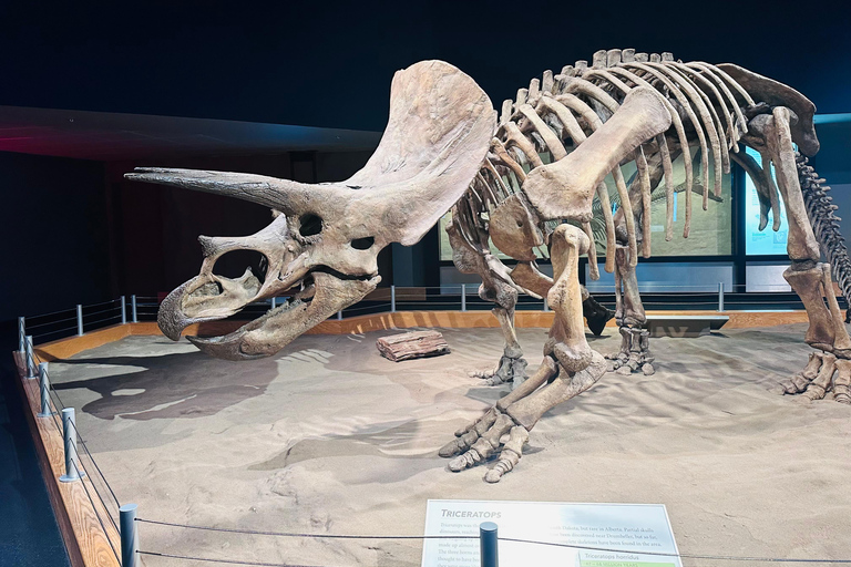 Badlands Tour: Drumheller with Museum, Hoodoos & Dinosaurs Booking Option for Summer 2026