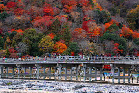 Jednodniowa wycieczka do Kioto, Nara, świątyni Fushimi Inari i Arashiyama