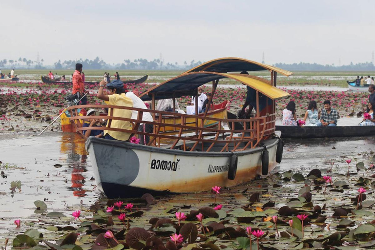 Excursion au point de vue de Malarikkal au départ de Cochin - Le joyau caché du KeralaVisite du point de vue de Malarikkal depuis Cochin, le joyau caché du Kerala
