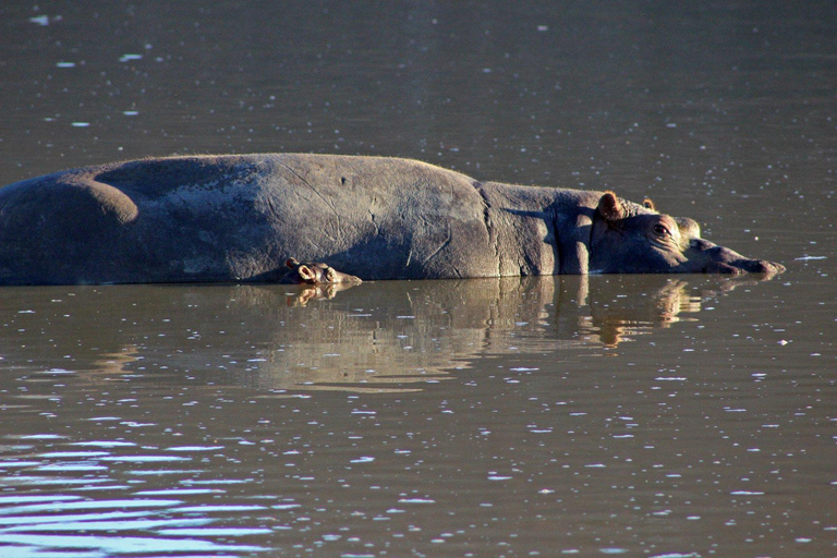 Aquila Reserve Safari with Lunch and Wine tasting