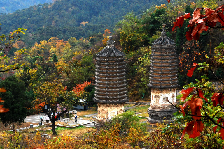 Tour particular à floresta de Pagodes de Yinshan com actividades opcionaisOpção 1: Tour de 1 dia em particular à Floresta de Pagodes de Yinshan com almoço