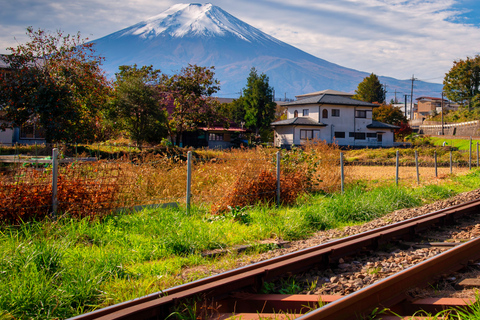 Tokyo: Mount Fuji Private Customizable Tour In Luxury Van