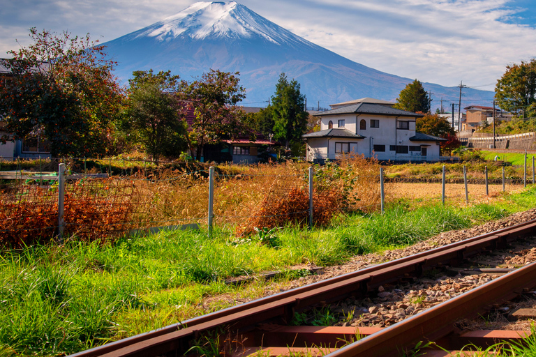 Tokyo: Mount Fuji Private Customizable Tour In Luxury Van