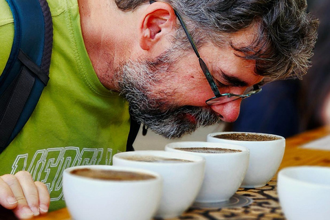 Boquete: Geisha Coffee Plantation Tour with Tasting