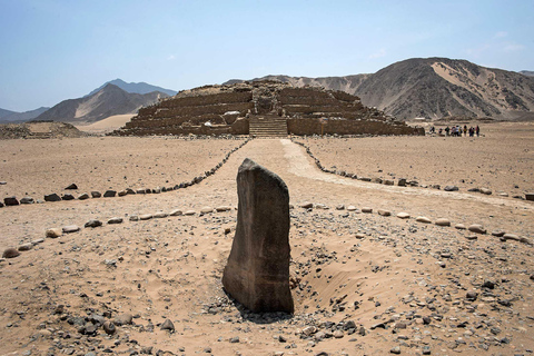 Excursion to Caral and Bandurria