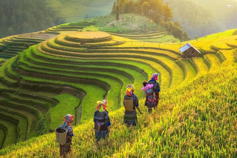 From Hanoi: Visit Sapa 3 Days & See The Terraced Fields Group Tour With A 4-Star Hotel