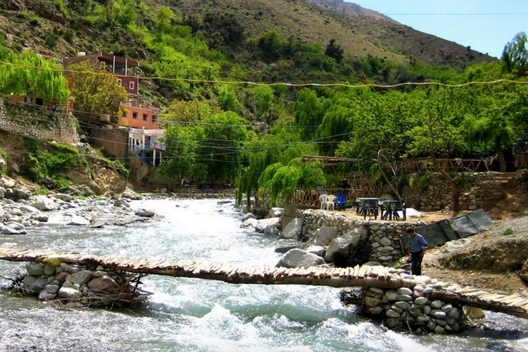 From Marrakech: Ourika Valley Atlas Mountains Day Trip with Lunch Option 3: Shared Group Transport and Local Guide