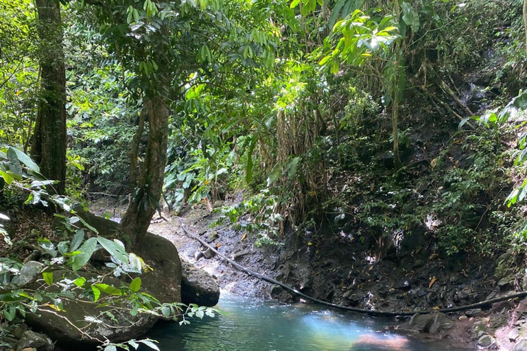 Een week vol onvergetelijke activiteiten in Guadeloupe!