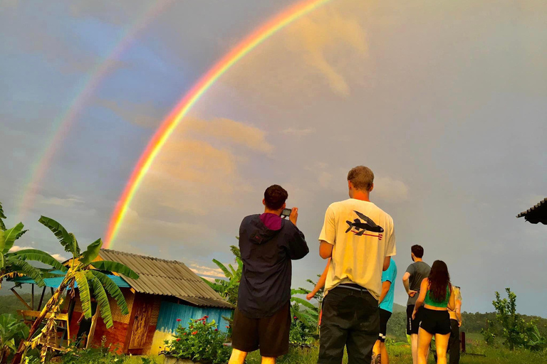 Chiang Mai: 2-dagars djungelvandring med elefantfarm och forsränning