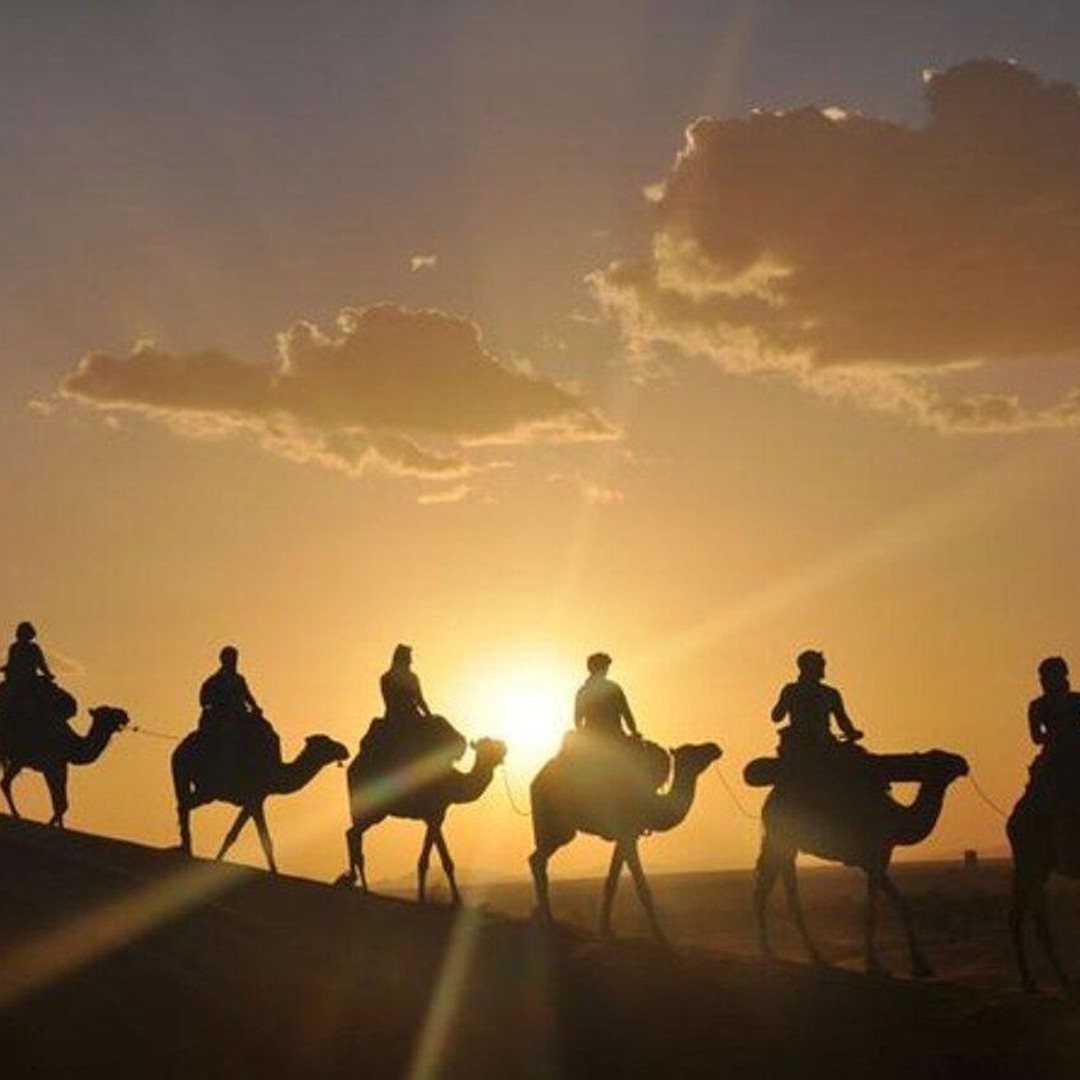 Desert & Beach Quad Adventure With Camel Ride