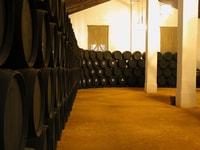 Jerez, Bodegas Álvaro Domecq Guided Tour with Wine Tasting - Housity