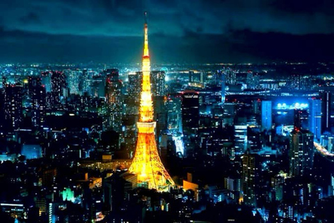 Tokyo One Day Private Tour mit englischsprachigem Fahrer