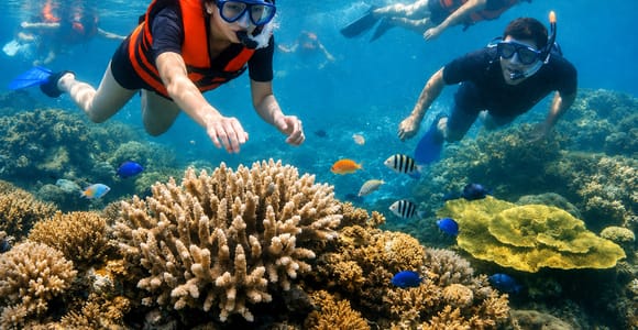 Cham Island Speedboat Tour & Snorkeling from Hoi An/Da Nang