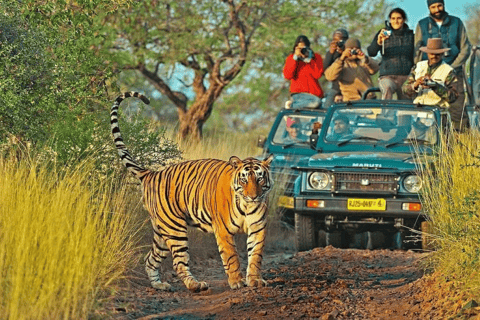 Visita guiada privada al Parque Nacional de Ranthambore desde Jaipur