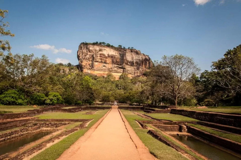 From Colombo: Dambulla, Sigiriya, and Jeep Safari Day Trip