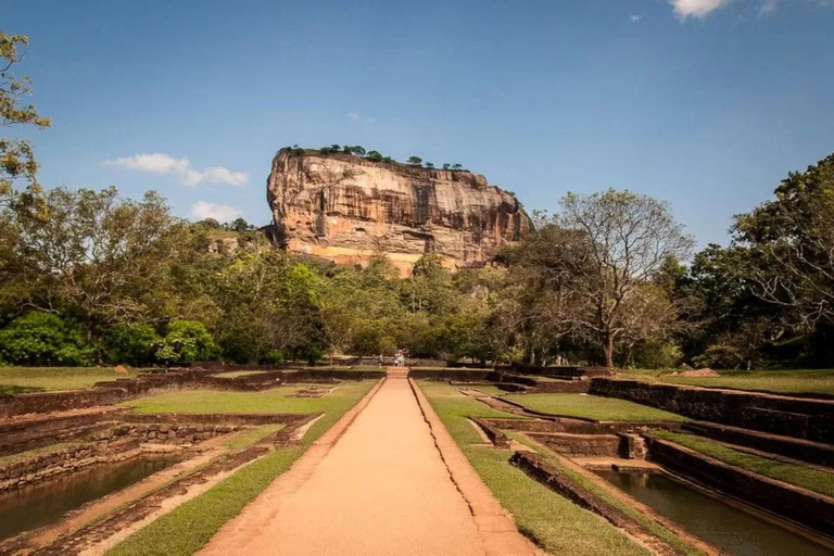 From Colombo: Dambulla, Sigiriya, and Jeep Safari Day Trip