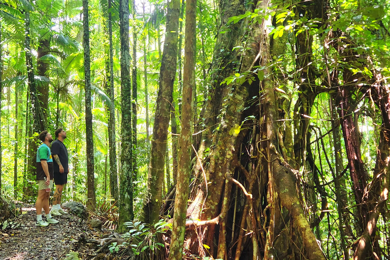 Whitsundays: Bushwalk Eco Adventure & 50s Diner Experience