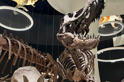 Shenzhen: Natural History Museum Landmark Priority Pass
