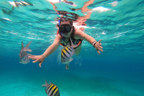 Sharm: Wycieczka morska na Białą Wyspę ze snorkelingiem, nurkowaniem i lunchemWspólna wycieczka z nurkowaniem, snorkelingiem i lunchem