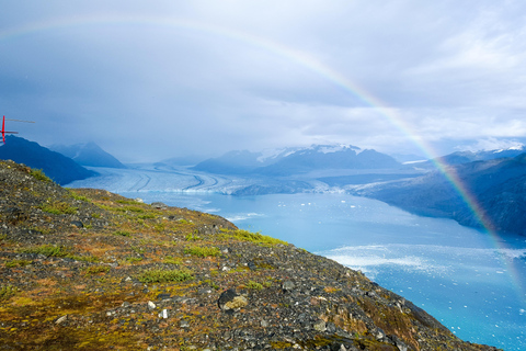 Anchorage: Prince William Sound Tour with Landing