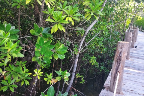 Zanzibar: Las Jozani i bar plażowy Kae Funk Sunset