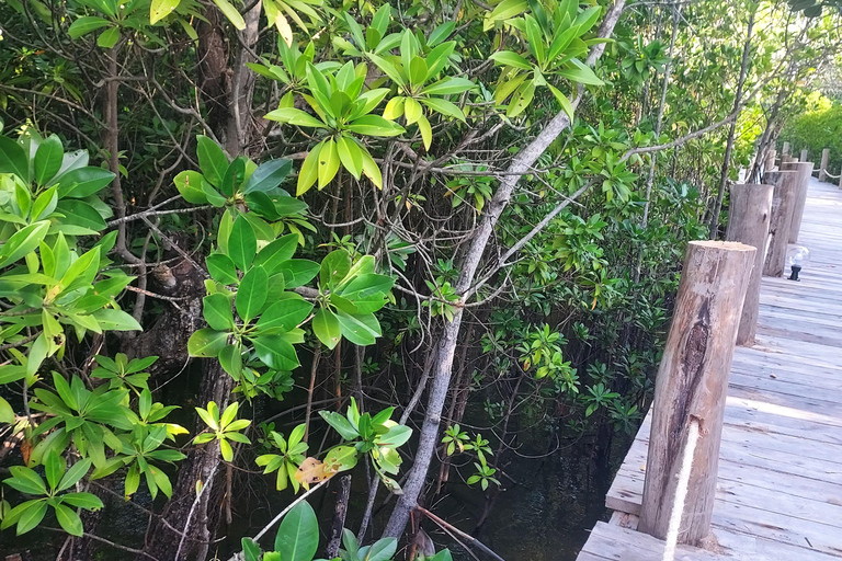 Zanzibar: Las Jozani i bar plażowy Kae Funk Sunset