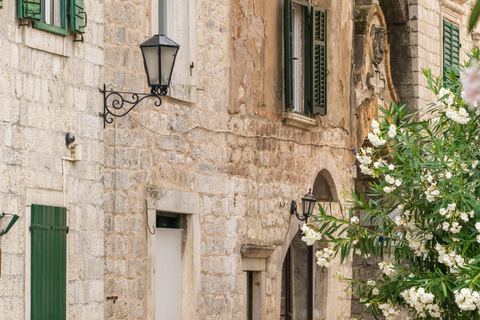 Tour of Montenegro: Budva or Kotor Day Tour from Tirana Montenegro Tour w/ Budva Visit