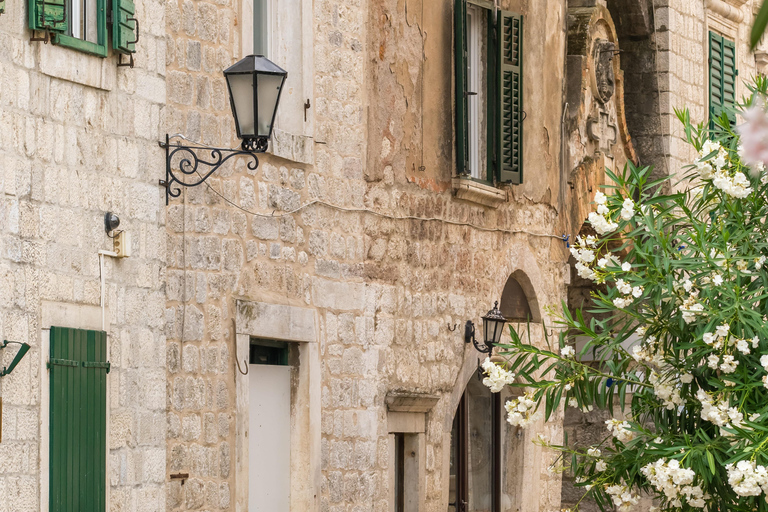 Tour of Montenegro: Budva or Kotor Day Tour from Tirana Montenegro Tour w/ Budva Visit