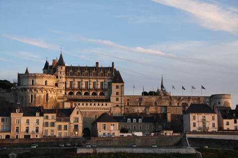 Amboise: Privat guidad tur med Château d&#039;Amboise