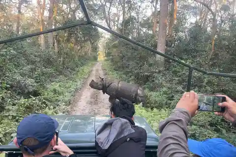 Chitwan: Safari in jeep e avventura in canoa con guida