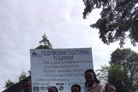 Moshi: Guided Waterfall Hike with Local Stories