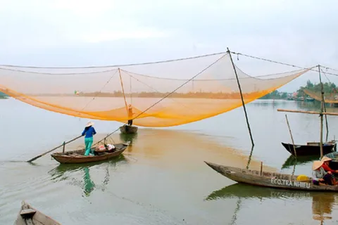 Hoi An : Tra Nhieu Discovery by Bicycle