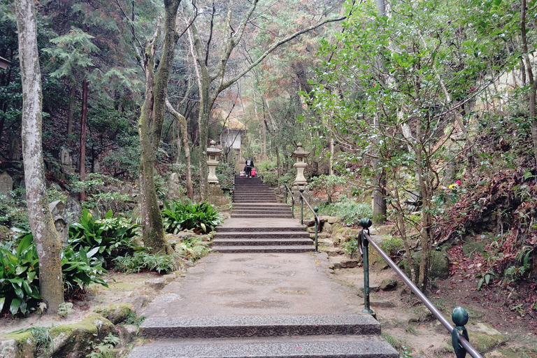 Hiroshima: Visita guidata del Tempio Mitaki-ji 1.5h