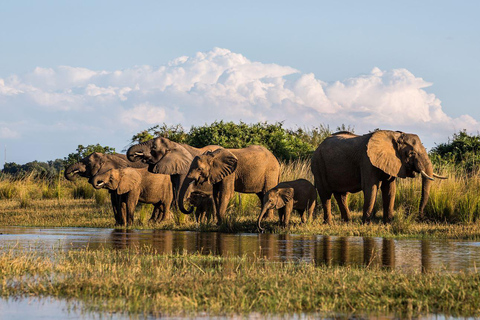 4 daagse privé-safari in het Kruger National Park vanuit Johannesburg