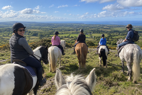Northern Ireland: North Antrim Horseback Riding Experience