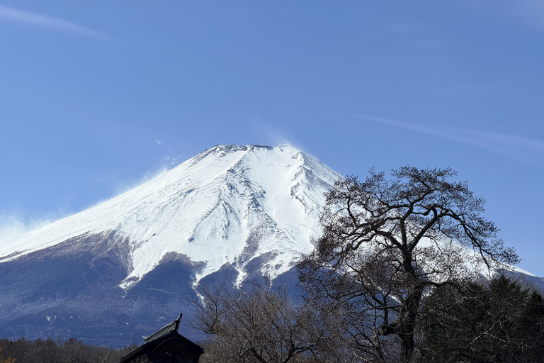 Tokyo: Private Daytrip to Mount Fuji - Fully Customizable Mt Fuji Private Luxury Van Tour (Customizable Experience)