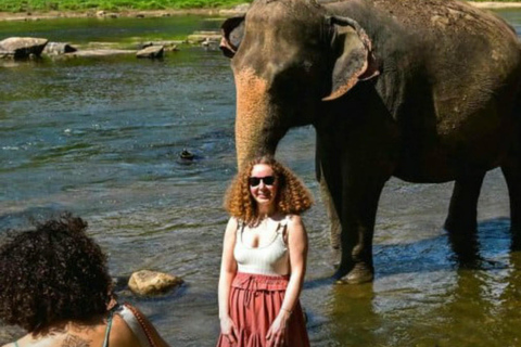 Kandy: Pinnawala, Ambuluwawa, and Village Tour