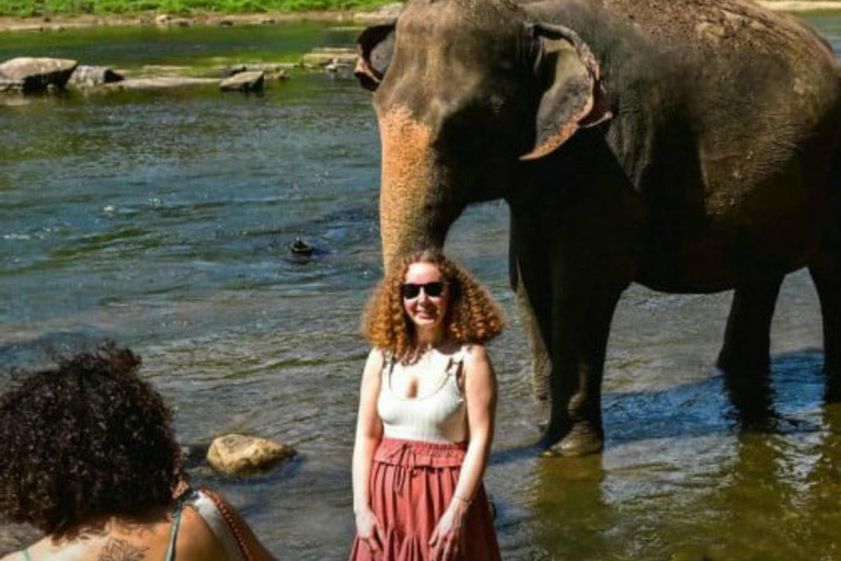 Kandy: Pinnawala, Ambuluwawa, and Village Tour