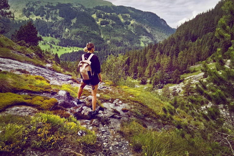 Interlaken: Rosenlaui Hike with Gorge & Alpine Hut Visit